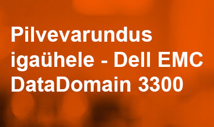 Pilvevarundus igaühele – Dell EMC DataDomain 3300