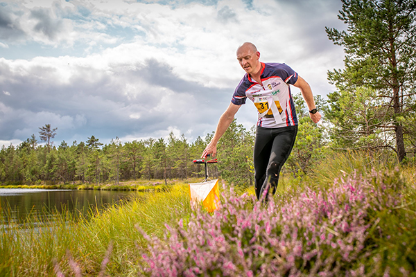 Datafoxi tegevjuht soovitab: „Mine metsa!“